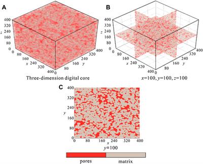 The investigation of microporous structure and fluid distribution mechanism in tight sandstone gas reservoirs: A case study on the second member of Xujiahe gas reservoirs in Yuanba area